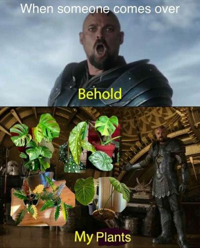 Behold