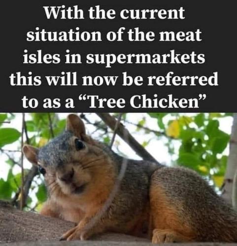 TreeChicken