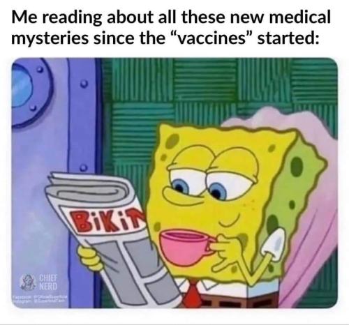 FB_IMG_1654713696366