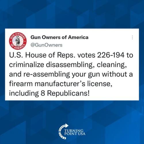 gun owners house