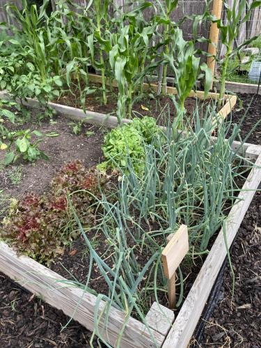 0564CED7-A7EE-400B-91B3-1F9FCF4E297E