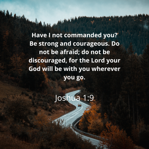 D9DBE3854DD54FEDA98CA90FCEF97F5B.bible25
