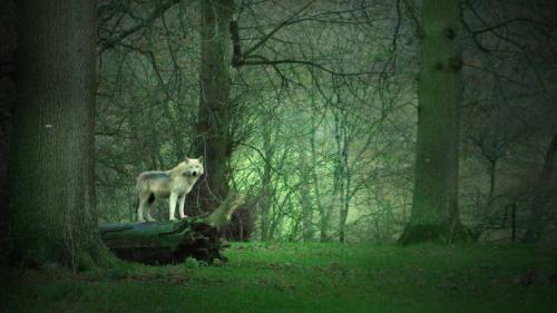 gettyimages-984641586-612x612