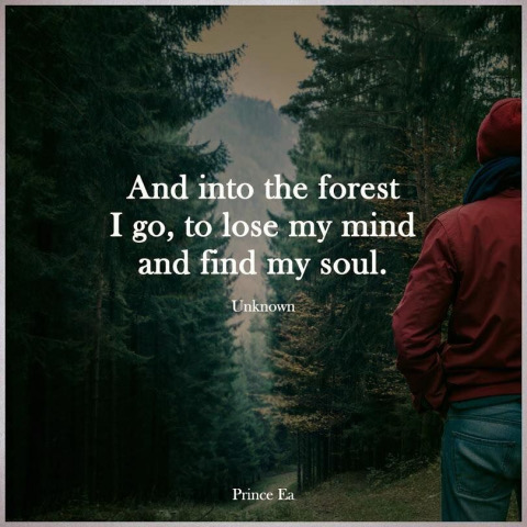 FEAE1CB4-115A-40B1-B5A4-781C4943C437