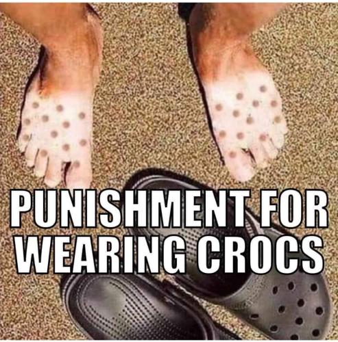 AC5D053D-A364-4CAD-A04B-6FF3A4D79B19