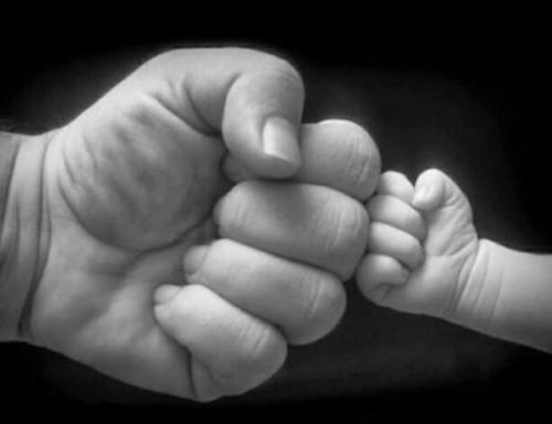 548B5E54-B5B7-4123-BF90-BD29945D8D32