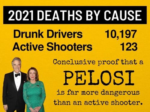 2021 DEATHS BY CAUSE