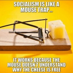 socialism mouse trap