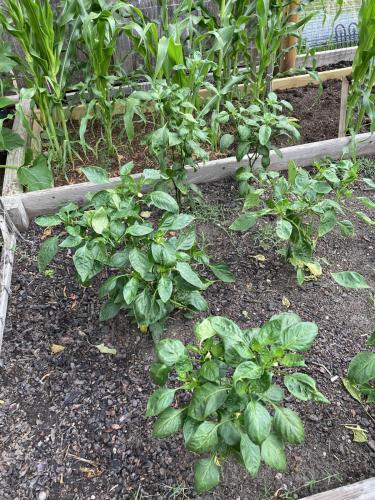 7AAA8B0B-AFCD-4F0D-BF5C-EDD93DB8F480