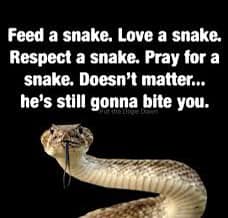 The Snake
