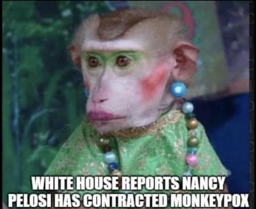 Monkeypox