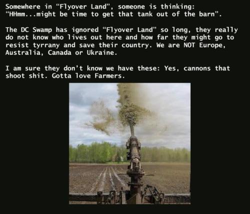 Shit-Cannon