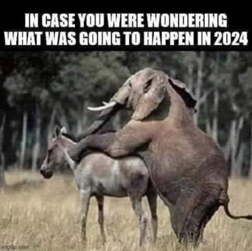 In case you were wondering