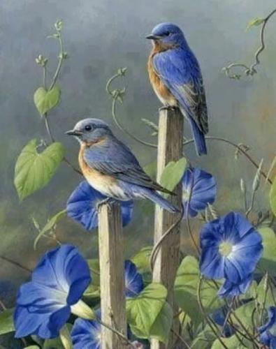 FB_IMG_1653873313419