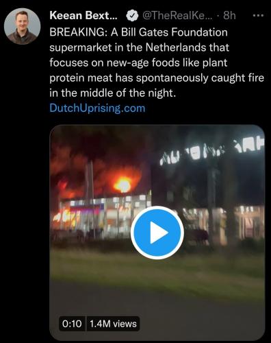 Dutch uprising