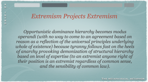 Screen Shot 2022-07-23 at 11.55.42 AM