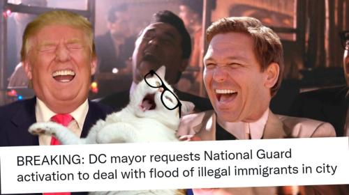 DC mayor requests guard