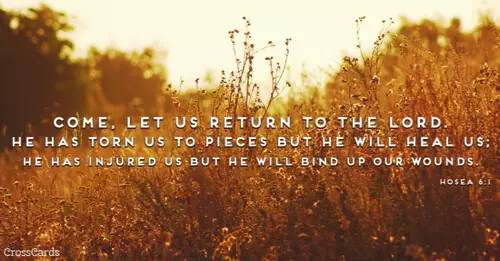 51497-hosea6-1.1100w.tn