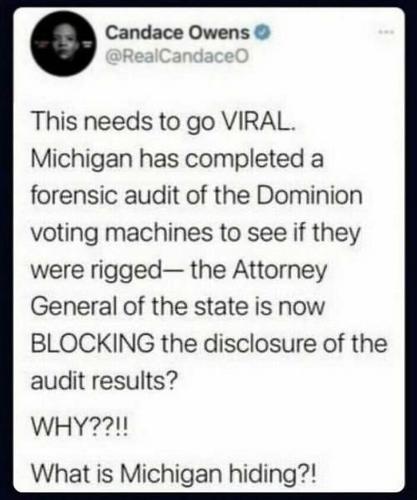 MI hiding Dominion audit