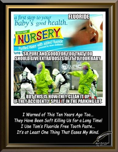 Fluoride ~The Soft Kill~