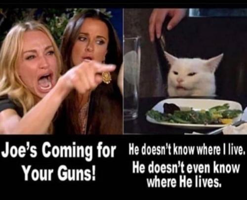 CatLogic