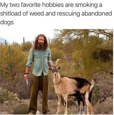 hobbies