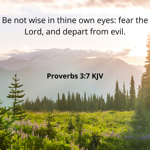 3B879D3C624F3E86D0743C7FC10609E2.proverbs37-kjv