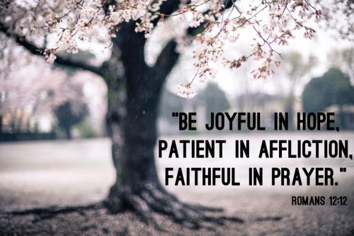 Joyful in Hope - Faithful in Prayer
