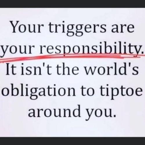 295502012_2072794082899716_4005515751782342719_n