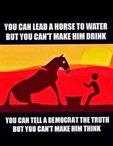 lead a horse to water