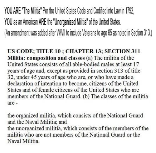 M militia