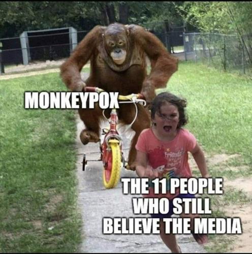 568F5122-B313-4B02-AD3D-CC4B353B9602