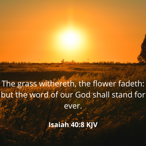 FDE616FD0D44D0BB95E1D62B95D7FE8D.isaiah408-kjv