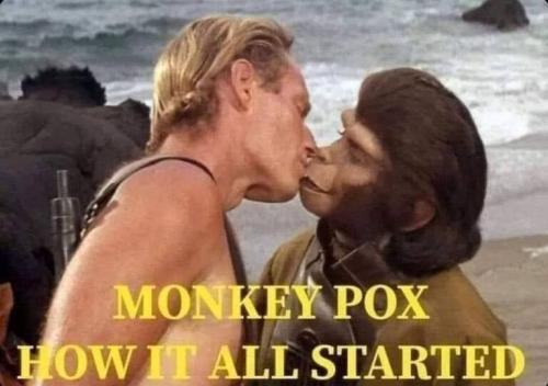 MONKEYPOX START