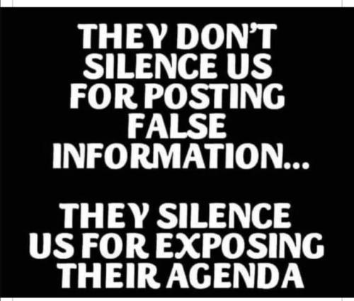 295831865_152410840717498_8044958158773758459_n