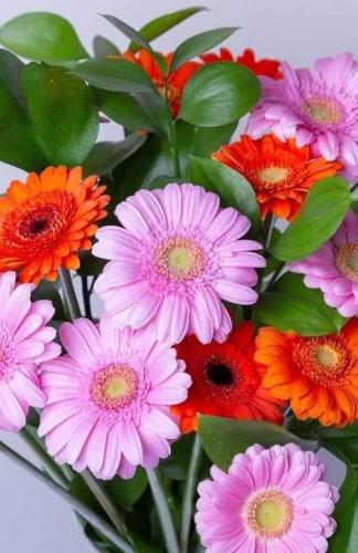 FB_IMG_1657725966678