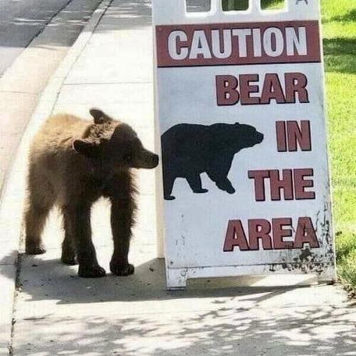 bc2e5d3f-feaf-4770-95c1-aafbd6c98e13