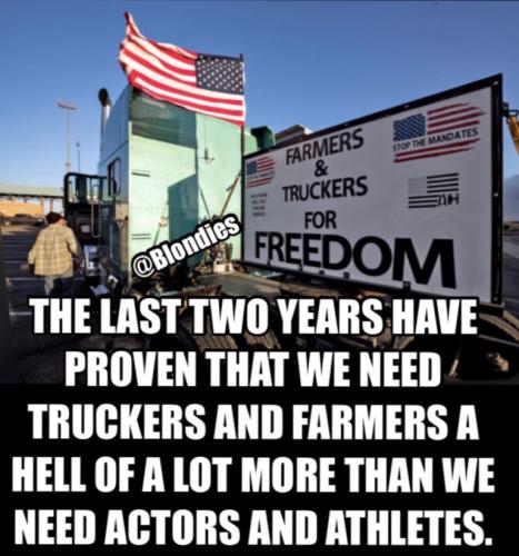 34b8c4ebf20377aea3b98fb3b333c13e_500x0