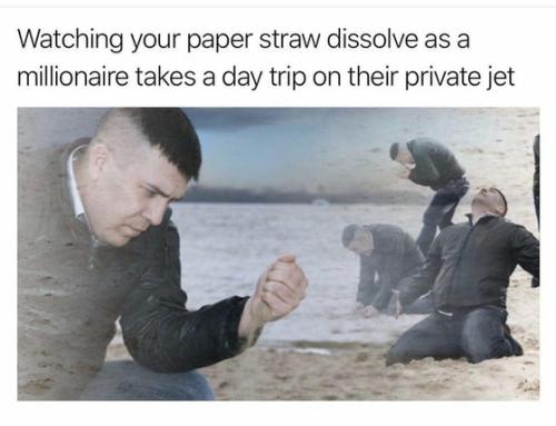 8bc342454f719e42