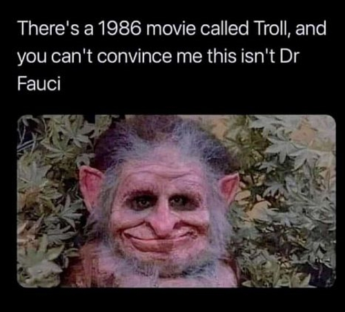 USA Troll