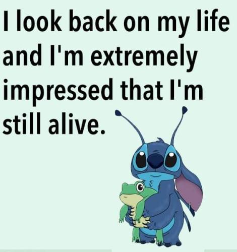 FB_IMG_1658236354951