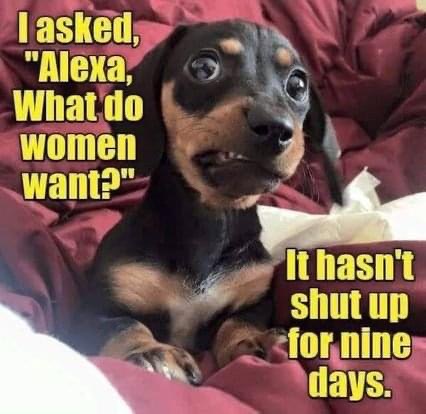 B4447247-609E-4DD2-8EC1-0FDADFBF77CA