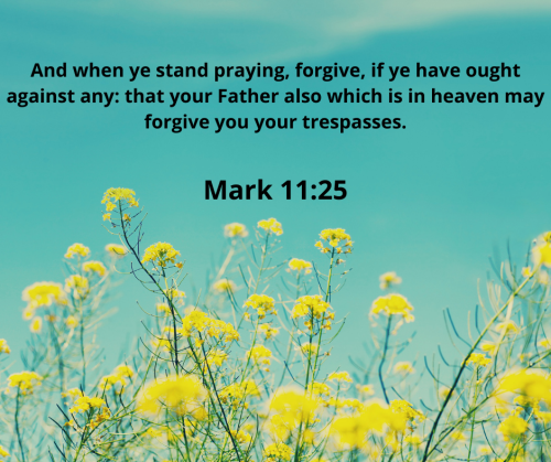 377BB33890B81712D741FF5D30B173EF.bible107