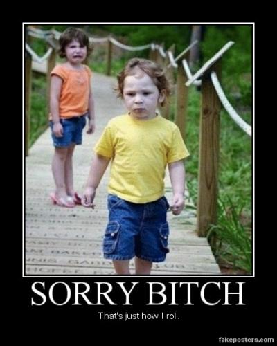 sorry-bitch