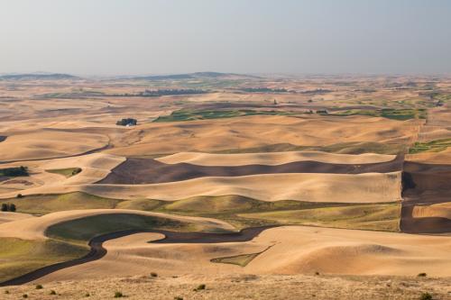 Steptoe Butte in Aug