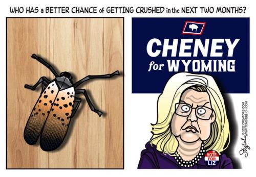 cheney crushed