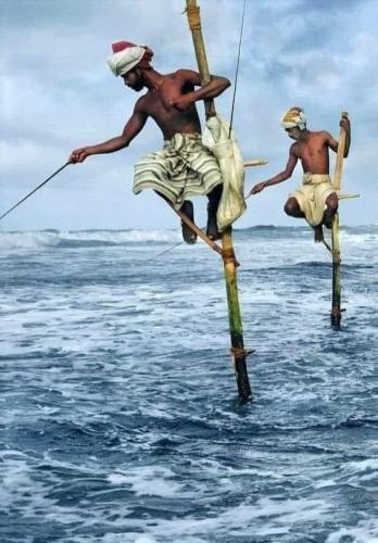 Fishing