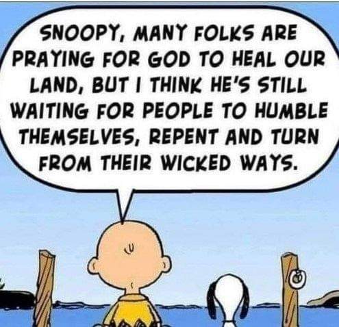 FB_IMG_1657941186379