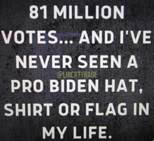 USA election 2020 - no flag, no banner no hat, no shirts