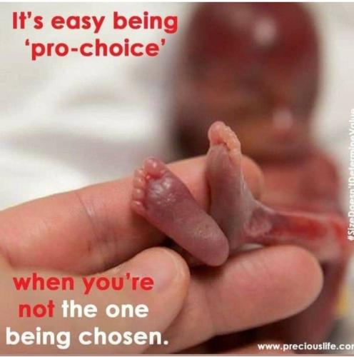 131F7734-AD3D-415D-9A71-53C4EB3E9945